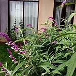 Kingsford Residences