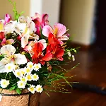 Emirates Luxury Nuwara Eliya