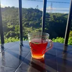 Lavender & Wood Nuwara Eliya