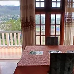 The View *