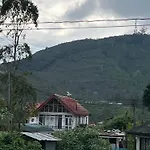 Medalin Harmony Cabin