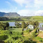 Acacia Nuwara Eliya
