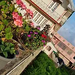 Guest house Chandrasobana 3*