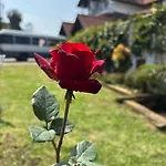 The Venice Royal Nuwaraeliya