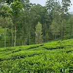 Powysland Villa *