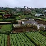 The Heaven Wood Cabin