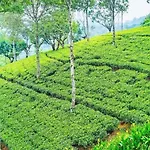 26 Loversleap Cottage