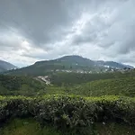Queens Gregory - Nuwara Eliya