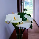 Lulu Lodge Nuwara Eliya