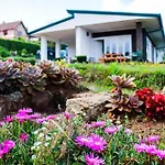 Lulu * Nuwara Eliya