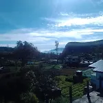 Ambewela Pattipola Snowflak Rest