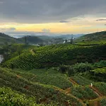 The Crown's Misty Hills Hideaway * Nuwara Eliya