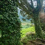 The Crown's Misty Hills Hideaway Lodge