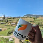 Zonova Mist