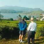 Bed & Breakfast Hidden Treasure 3*