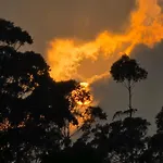 Kithul Nuwara Eliya