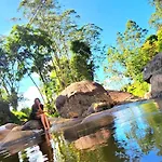 Kithul * Nuwara Eliya
