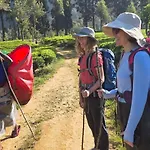 Kithul * Nuwara Eliya