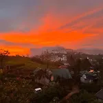 Succulent Homestay