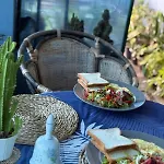Homestay Succulent
