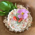 Blackpool Farm House