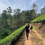 Evermist * Nuwara Eliya