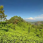 Guest house Evermist Nuwara Eliya