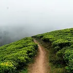 Hillcroft * Nuwara Eliya