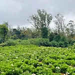 Thuhina * Nuwara Eliya