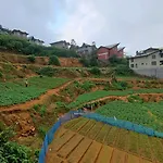 Shenul