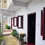 Camellia Hills *