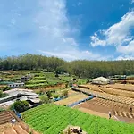Camellia Hills