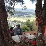 Woods Hut