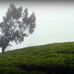 Green Hill Bungalow