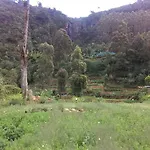 Lovers Leap Falls Inn