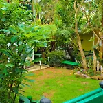 Haven & Nuwara Eliya