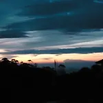 Hill Tea View