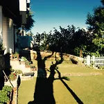 Tapherini