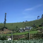 Hillside Villa