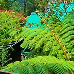 Haven & Nuwara Eliya
