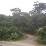 Vista Cool Mist