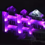 Misty Paradise Of Lake Gregory