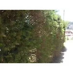 Vista Winkfield Holiday Resort