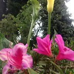 The Galways Edge * Nuwara Eliya