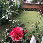 Bungalow 28
