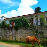 Blackpool 55 Homestay Nuwara Eliya