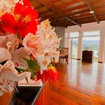 Acacia Guest house 3*