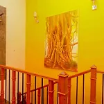 Acacia Guest house 3*