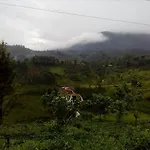 Pattipola Guesthouse