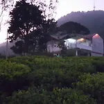 Tea Garden Cottage